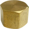 LASCO 1/2-Inch Female Pipe Thread Brass Cap 17-9149