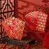 Zhanmai 120 Pcs Chinese New Year Red Envelopes - 12 Styles Hong Bao Paper Gift Money Envelopes for Lunar Year