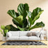 Yzpallescene Custom Size Wall Mural Green Fiddle Leaf Fig Botanical Tropical Plant Minimalist Nordic Style Removable