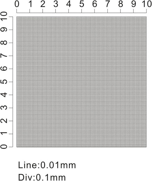 Soft Ruler Microscope Micrometer Calibration Slide for Line Width and Particle Diameter Measurement, High Precision Tool