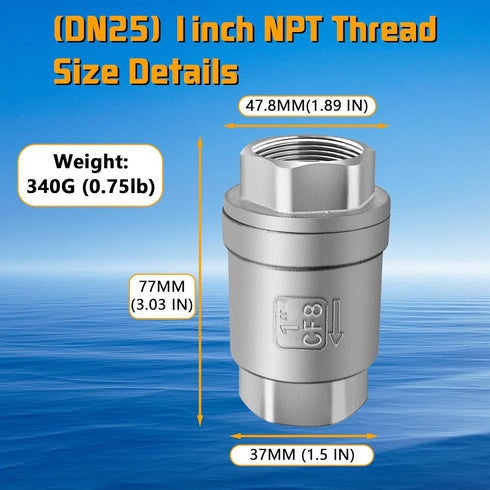 Boltigen 1 Inch Spring Check Valve, 304 Stainless Steel Non Return Horizontal Water Check Valve for Well