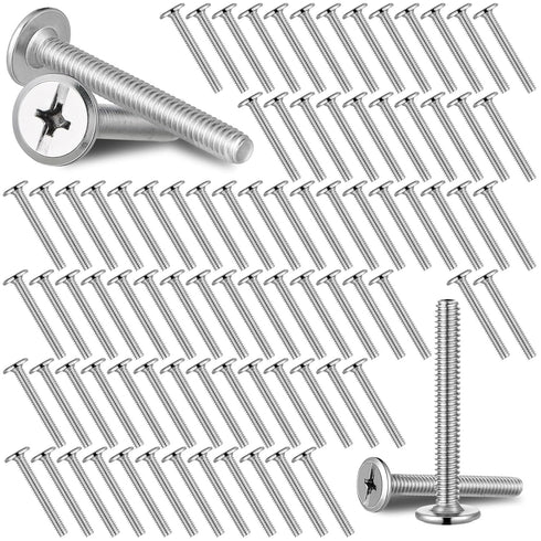 Blulu 100Pcs 1/4"-20 Hurricane Shutter Bolts, Sidewalk Screws Bolts Truss Head Shutter Screws