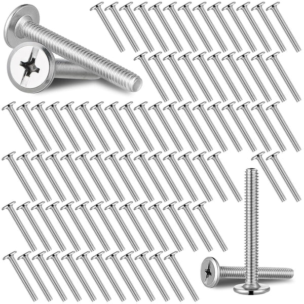 Blulu 100Pcs 1/4"-20 Hurricane Shutter Bolts, Sidewalk Screws Bolts Truss Head Shutter Screws