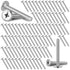 Blulu 100Pcs 1/4"-20 Hurricane Shutter Bolts, Sidewalk Screws Bolts Truss Head Shutter Screws