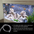 25ft Clear Plastic PVC Tubing 3/8" x 1/2", Flexible Vinyl Tube for Garden Irrigation, Water Hose, Fish Tank with 2Pcs