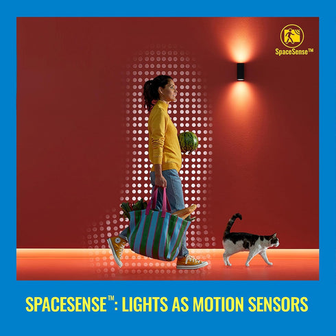 WiZ Connected 1-Pack Indoor Motion Sensor - - Connects to Your Wi-Fi- Works with Products - Batteries Included