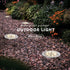 ZGWJ Solar Ground Lights - 8 LED Waterproof Garden Lights for Yard Walkway Patio Lawn Decoration