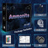 Ammonite 3D 16 Skull Night Light for Kids, Illusion Lamp LED Desk Table Lamp Colors Change with Remote Control