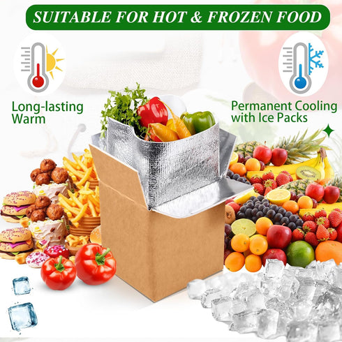 Honoson 2 Frozen Pack Pack Frozen (6'' 5'' 6.5'') Pcs Thermal Insulated Shipping Boxes for Food with Ice and Aluminum