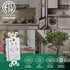 GFCI Outlet, Tamper Resistant Receptacle with Combination Switch, ETL Listed, White (TR&WR15Amp)