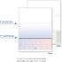 DocuGard Blue/Red Prismatic Bottom Check - 8.5 x 11 Inches, 24 lb, 500 Sheets, 1 Check Per Sheet