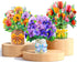 QZHIWLP Pop Up Flower Cards 3 Pack 3D Floral Bouquet Pop Up Cards