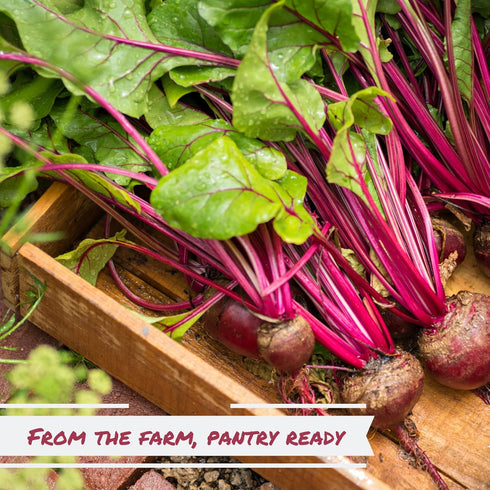 2 lbs Dried Chopped Beets by Its Delish, Bulk Bag | Gourmet Dehydrated Raw Beet Root Vegetables | Cooking, Camping