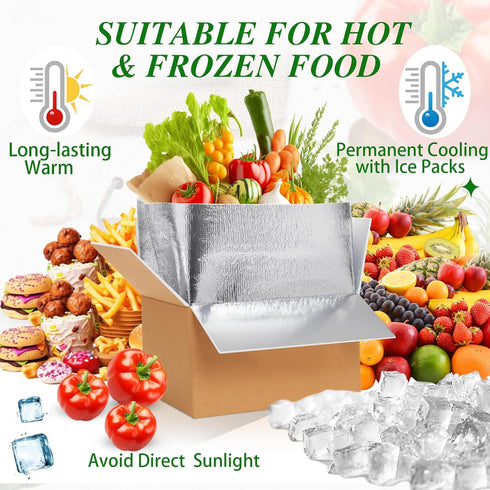 Honoson 2 Frozen Pack Pack Frozen (12'' 10'' 7'') Pcs Thermal Insulated Shipping Boxes for Food with Ice and Aluminum