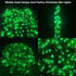 5ftx5ft 100LED HISHINY Christmas Net Lights Outdoor, Green Wire, Connectable Bush Mesh Net Lights String