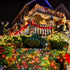 66FT 200 11 TW SHINE LED Color Changing Christmas Lights, Warm White & Multi Color Waterproof String Lights
