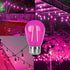 S14 Pink LED Bulb Replacement, 2W Shatterproof E26 Base, Waterproof Vintage Bulb for Christmas Party, 15 Pack