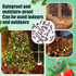 60 Count Bulbs Bulbs White,12Vx0.08A) Mudder Christmas Replacement Mini Light with Base Christmas Tree Incandescent