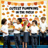 gisgfim Fall Classroom Bulletin Board Decorations Set, Autumn Cutest Pumpkins in The Patch Cutouts for School Home Decor
