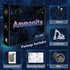 Ammonite 3D Excavator Lamp for Kids, LED Optical Illusion Night Light with Remote Control and Timing Function as