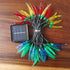 keeda Solar Chili Pepper String Light | Outdoor Waterproof Red Chili Novelty String Lights for Christmas Harvest Decor,