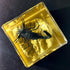 2" Real Black Scorpion on Sand in Crystal Clear Lucite Resin Diorama Paperweight Crafts Specimen Preserved Insect Taxidermy Collection for Biology Science Education & Desk Ornament Display Supplies