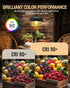 120V 40 Bulbs Dimmable,T10 (E26) 2500K,40W Bulbs Sconces,4 Pack Watt Light Clear Tubular,Medium Base,Warm White