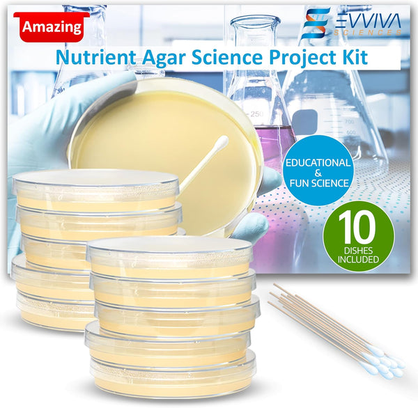 Evviva Sciences Nutrient Agar Petri Dishes Science Project Kit, Pre-Poured Agar Plates