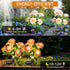 2 Pack Solar Lights Outdoor Waterproof, Garden Decor with 14 Realistic Dahlias/Zinnia, Solar Powered Outdoor Lights