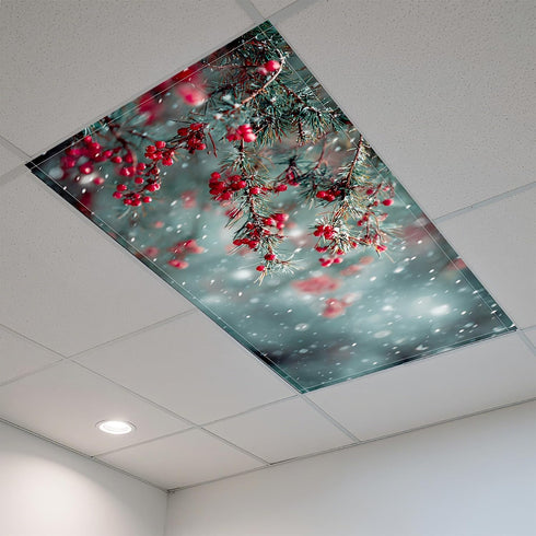 2 Pack 4 2 7) Fluorescent Light Covers- x Feet Magnetic Ceiling Light Cover Room Supplies (Color