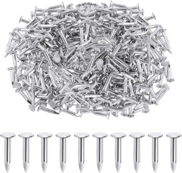 300Pcs 1 Inch 25mm Galvanized Roofing Felt Nails for Roof Repair, Asphalt Tile, Landscaping