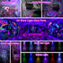 YINPKTEO 6 Party Lights Disco Ball Light,Dj Disco Light Sound Activated LED Light Colors for Home Room Dance Parties
