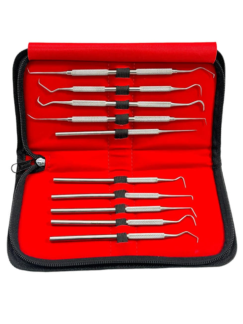 Avon Surgical Set 10 Precision Probe of Pieces Dental Hygienist Oral Care Picks Single and Double-Ended with Varying