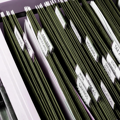 RAZCC Extra Capacity Hanging File Folders, 30 Pack Letter Size, Heavy Duty 1 Inch Expansion, Green, Adjustable Tabs