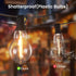 100FT 43 Dimmable A39 Bulbs 2700K DAMAING Outdoor String Lights Patio String Lights Waterproof with Shatterproof LED