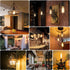 hansang E26 Edison Light Bulbs, Dimmable, 2700K Warm White, Vintage Edison Bulbs, 60 Watt Equivalent, 6W Filament Light