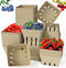 DADAB 60 Pack Natural Pulp Fiber Berry Basket, Molded Produce Vented Kitchen Supplies