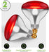 250 R40 Bulbs (2-Pack) Bulb 2,000 E26 120V W att Incandescent Light - Bathroom Infrared Heat Lamp for Chickens Chicks