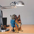 Cute Dog Pen Holder for Desk, Unique Desk Accessories Decor for Home Office School, German Shepherd Gifts for Dog Lovers