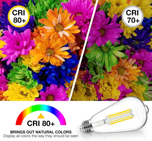 6 Pack Bulbs, E26 Dimmable Bulb, 60 ST58 Bulbs 5000K, 8W, 800LM, 80+ DAYBETTER Vintage LED Edison LED watt Equivalent