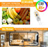 YUIIP G4 LED Bulb, AC/DC 12V JC G4 Bi Pin Bulb, Warm White 3000K 20W Halogen Replacement, Non-Dimmable, 5-Pack
