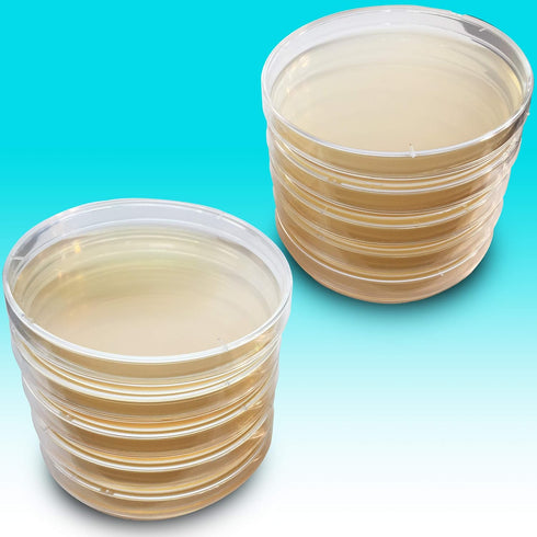 LB (LB) Agar Plates - Evviva Sciences - Prepoured Luria-Bertani Agar Petri Dishes - General Purpose Media - Top Science