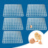 onsjkabv 5 80 Packing, PCS Plastic Egg Incubator Trays Eggs Cartons Egg Flats, Eggs Hatcher Storage Container Each