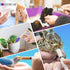 10ml/cc Plastic Syringe - Individually Sealed Measuring Syringe for Scientific Labs & Pet Feeding
