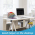 SUPEASY Fan Shaped Desk File Organizer, White, 6 Compartments for Filing Paper, Desk Accessories, School, Office