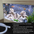 1m(3.3ft) Silicone Tubing, 0.5mm ID x 2mm OD Clear Industrial Plastic Tubing for Pump Siphoning Irrigation