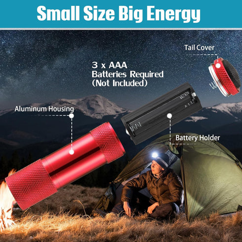 12 Pcs Mini Flashlights Bulk, Bright Aluminum Handheld LED Flashlights with Lanyard for Kids, Night Reading, Emergency