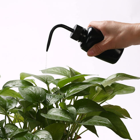 2Pcs 150ml Tattoo Wash Bottle, 5oz Water Squirt Bottle for Succulent Watering, Safety Rinse Tools, Black Washing Bottle