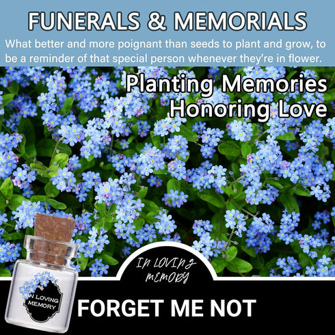 Qpige 50 Bulk Memorial Cards Funeral Favors for Guest, Funeral Wake Celebration of Life Decorations, In Loving Memory
