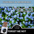 Qpige 50 Bulk Memorial Cards Funeral Favors for Guest, Funeral Wake Celebration of Life Decorations, In Loving Memory